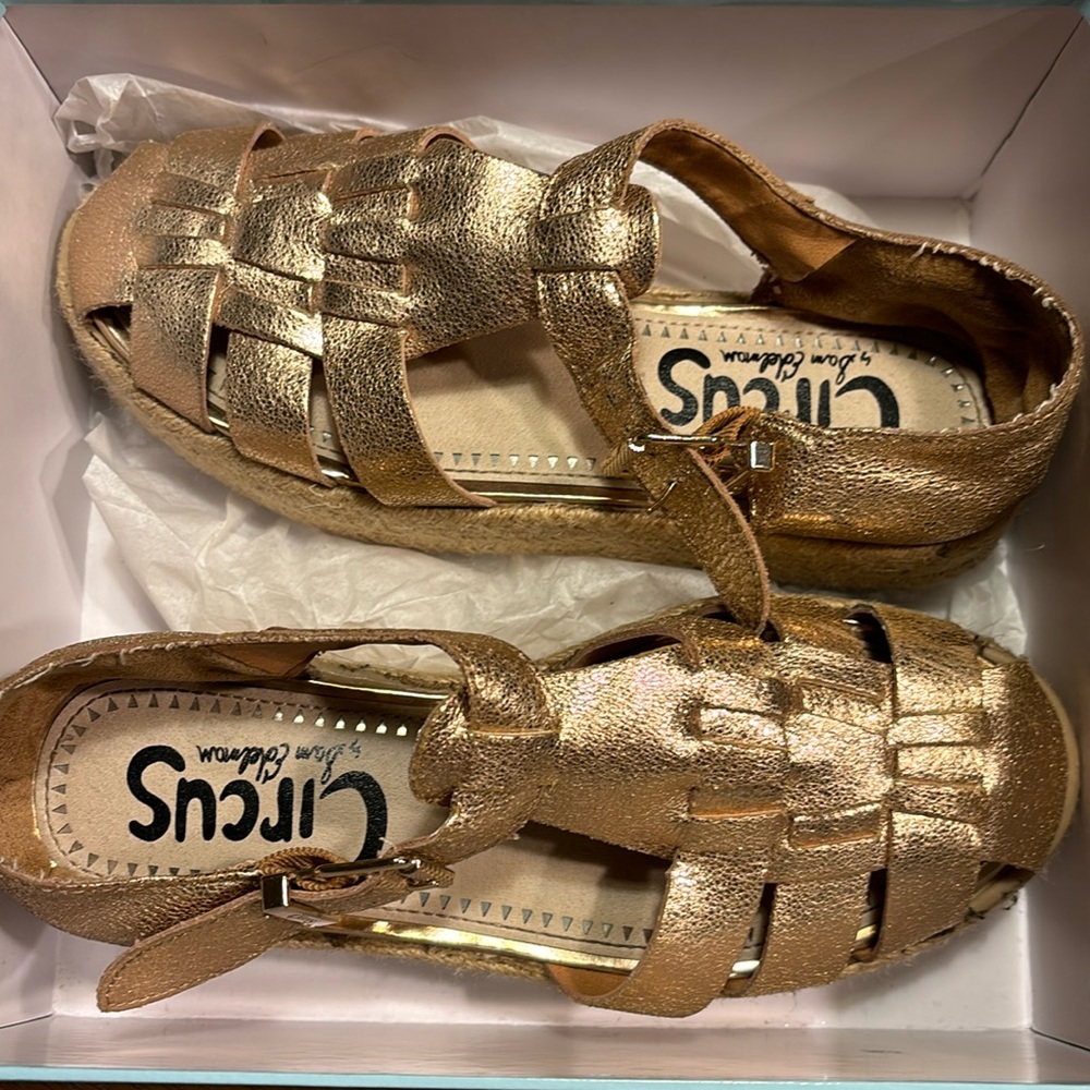 Circus Rose Gold Espadrilles